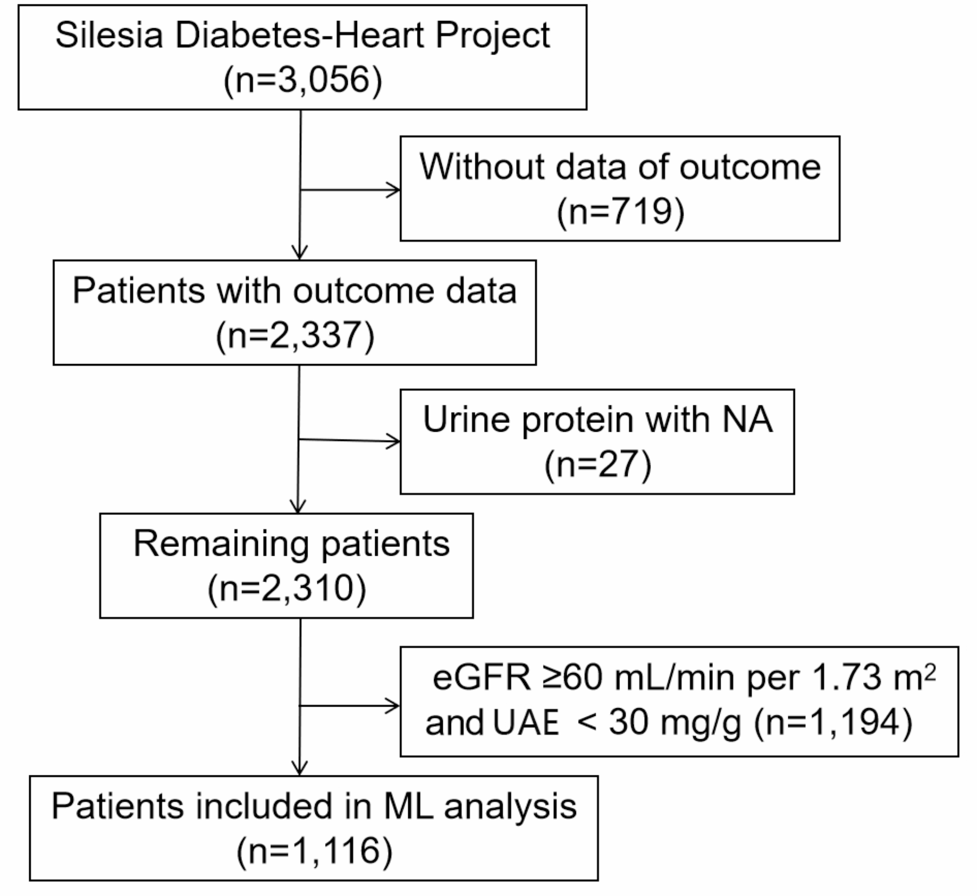 Predicting major adverse cardiac events in diabetes and chronic kidney disease: a machine learning study from the Silesia Diabetes-Heart Project