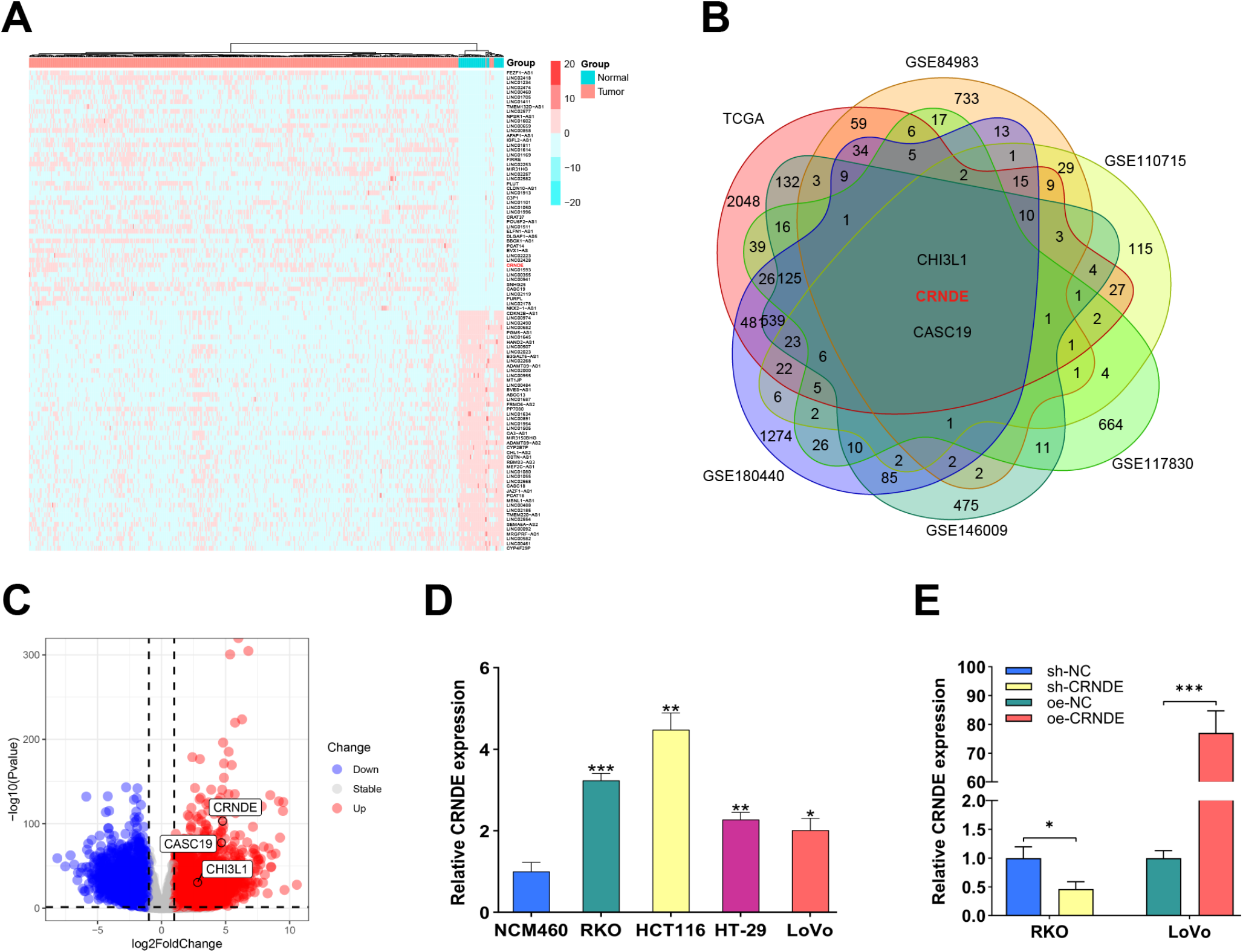 TFAP2A-regulated CRNDE enhances colon cancer progression and chemoresistance via RIPK3 interaction