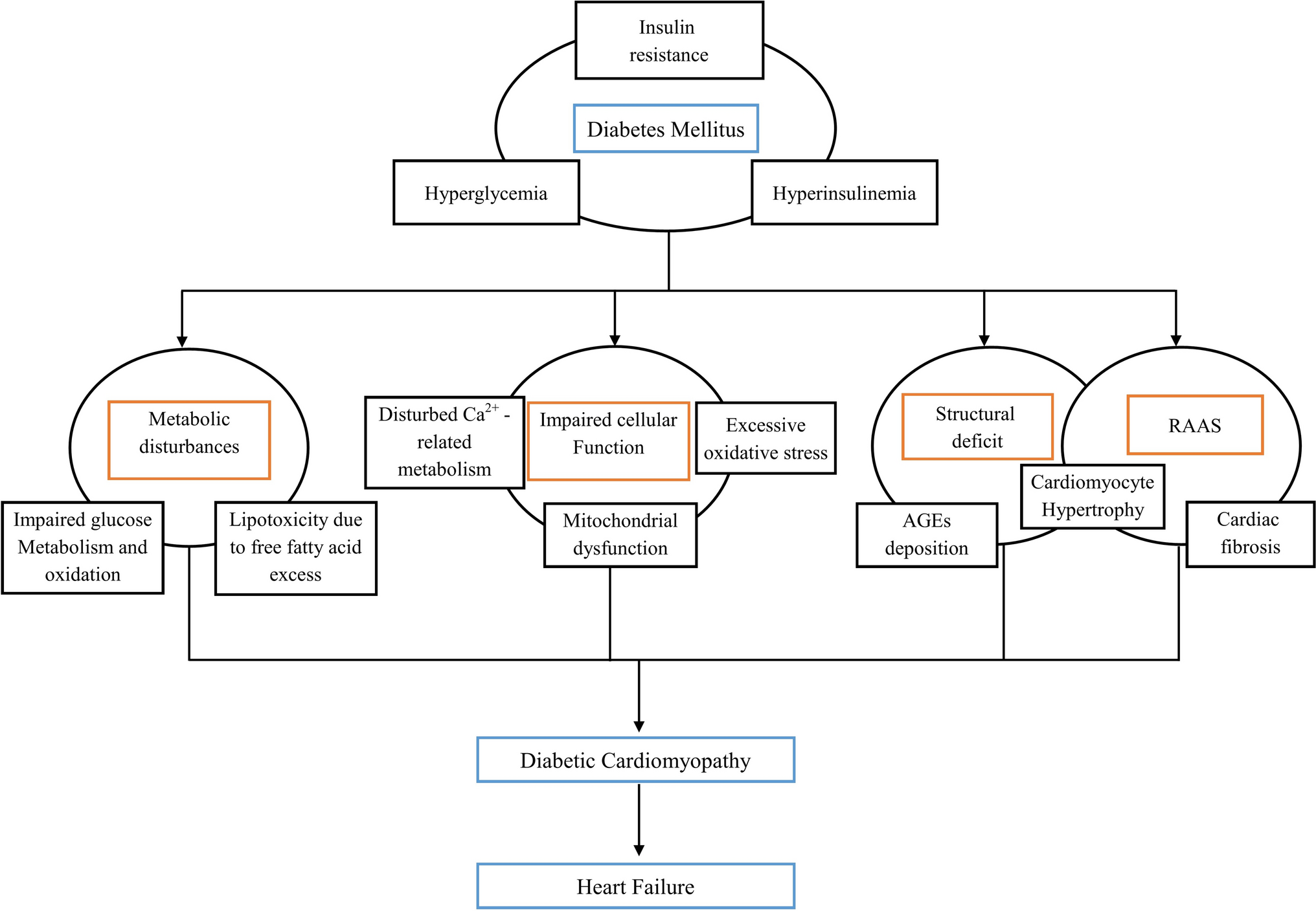 Sitagliptin, diabetes mellitus, and heart failure: an in-depth review of sitagliptin therapy and heart failure in patients with diabetes mellitus