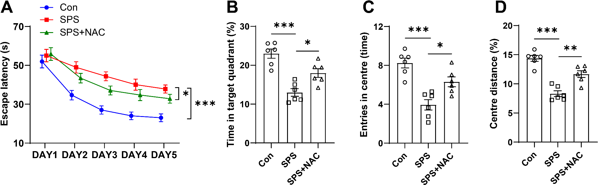 Unlocking NAC’s potential ATF4 and m6A dynamics in rescuing cognitive impairments in PTSD