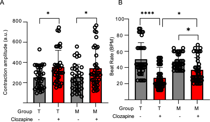 Examination of mitochondria- and inflammasome-mediated mechanisms of clozapine-induced myocarditis using patient-derived iPSC cardiomyocytes