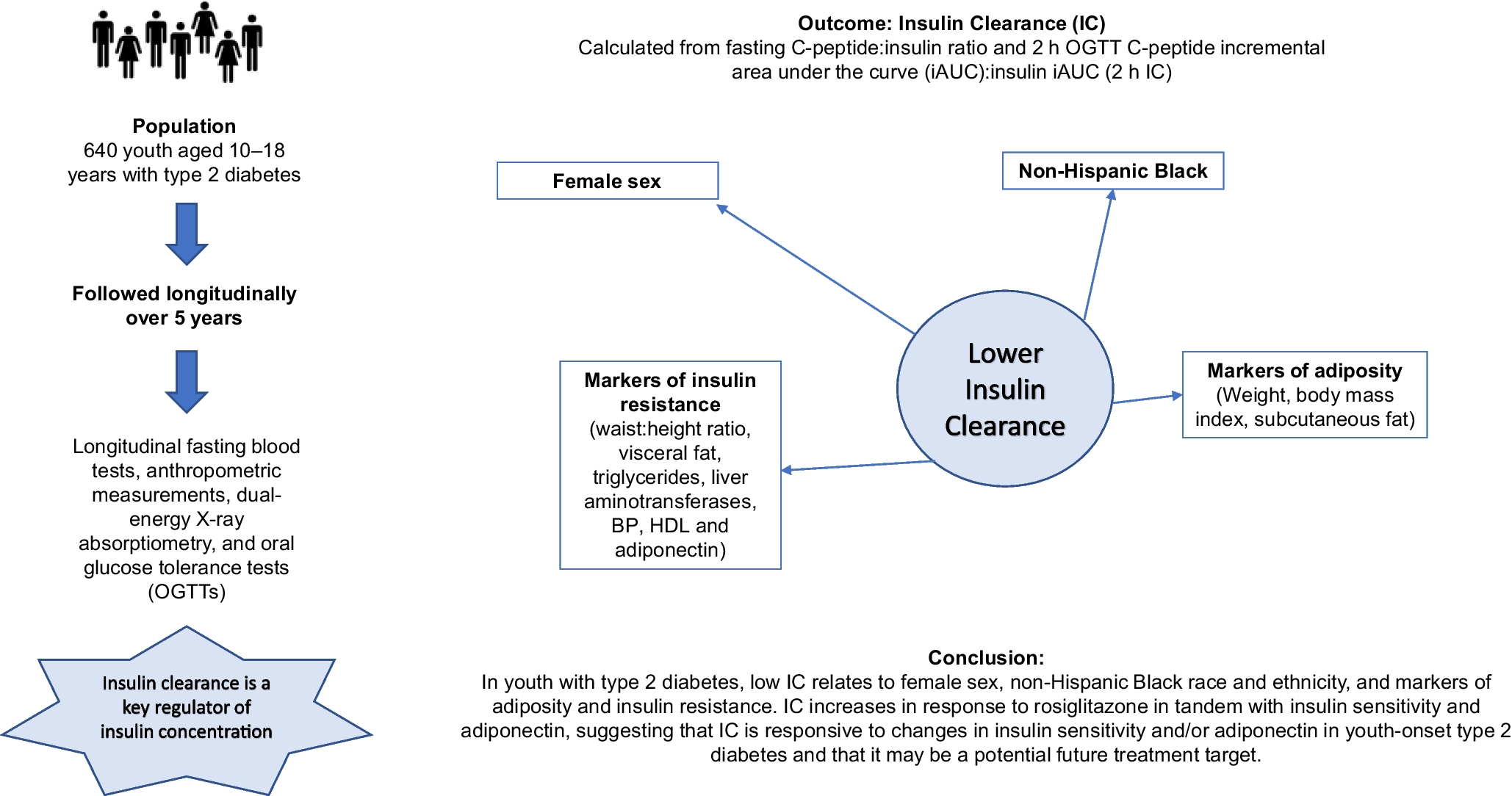 Insulin clearance at randomisation and in response to treatment in youth with type 2 diabetes: a secondary analysis of the TODAY randomised clinical trial