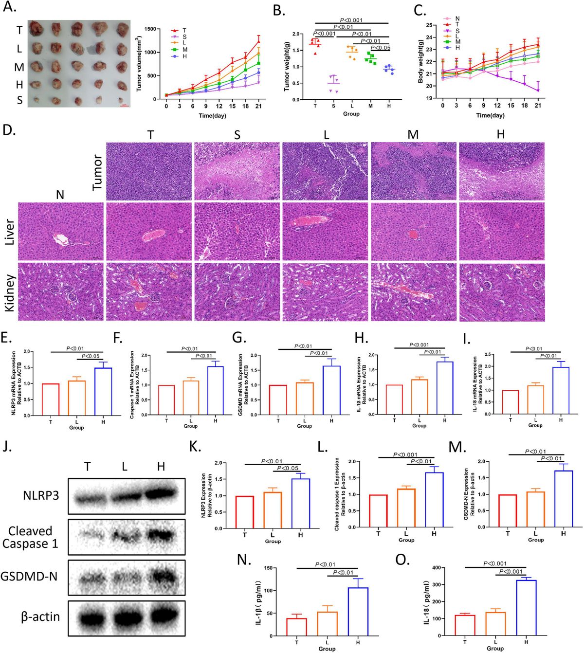 Gut microbiota mediates the pro-pyroptosis effect of xierezhuyubuxu decoction in hepatocellular carcinoma