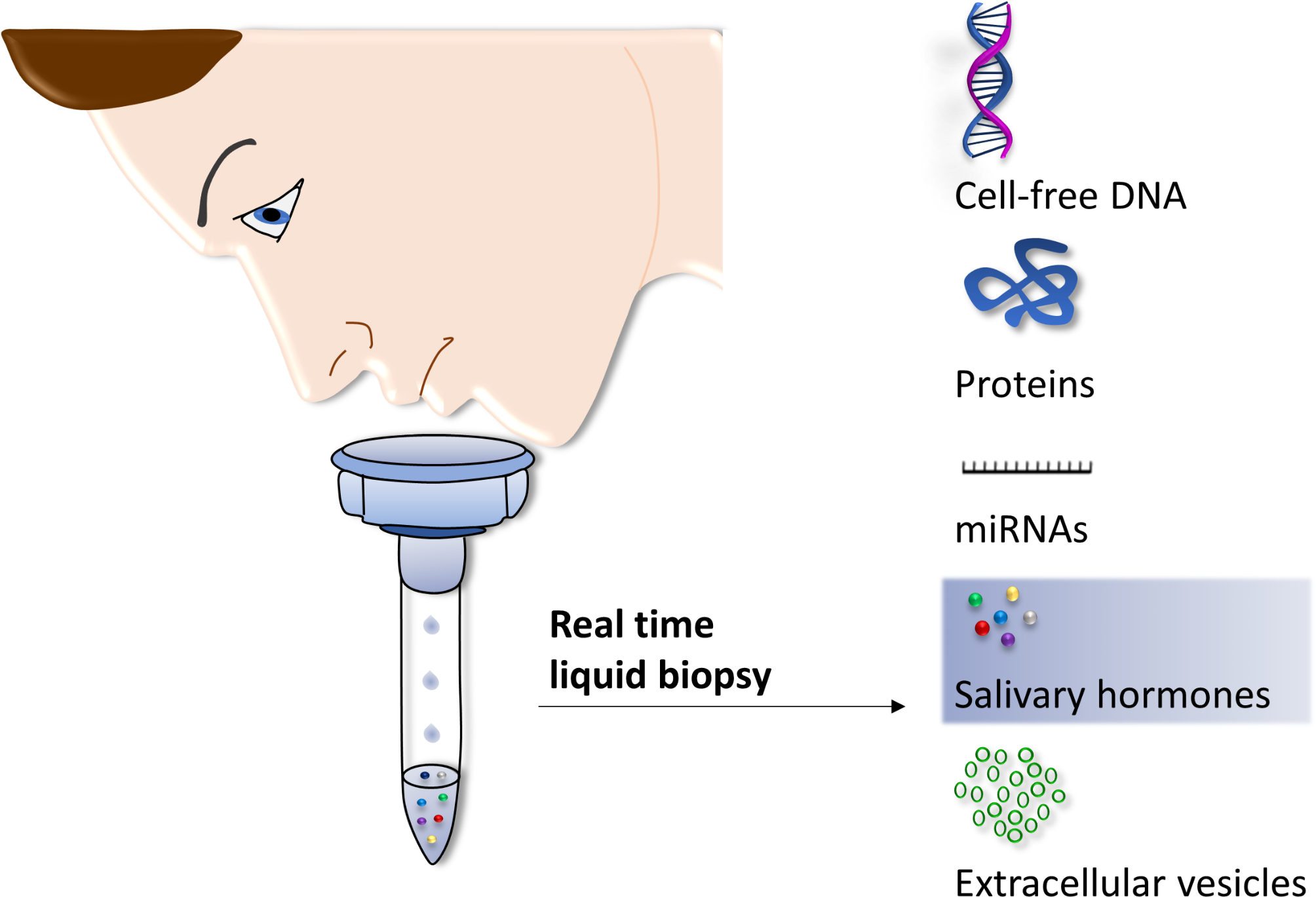 Salivary hormones in depression: the future in diagnosis and treatment