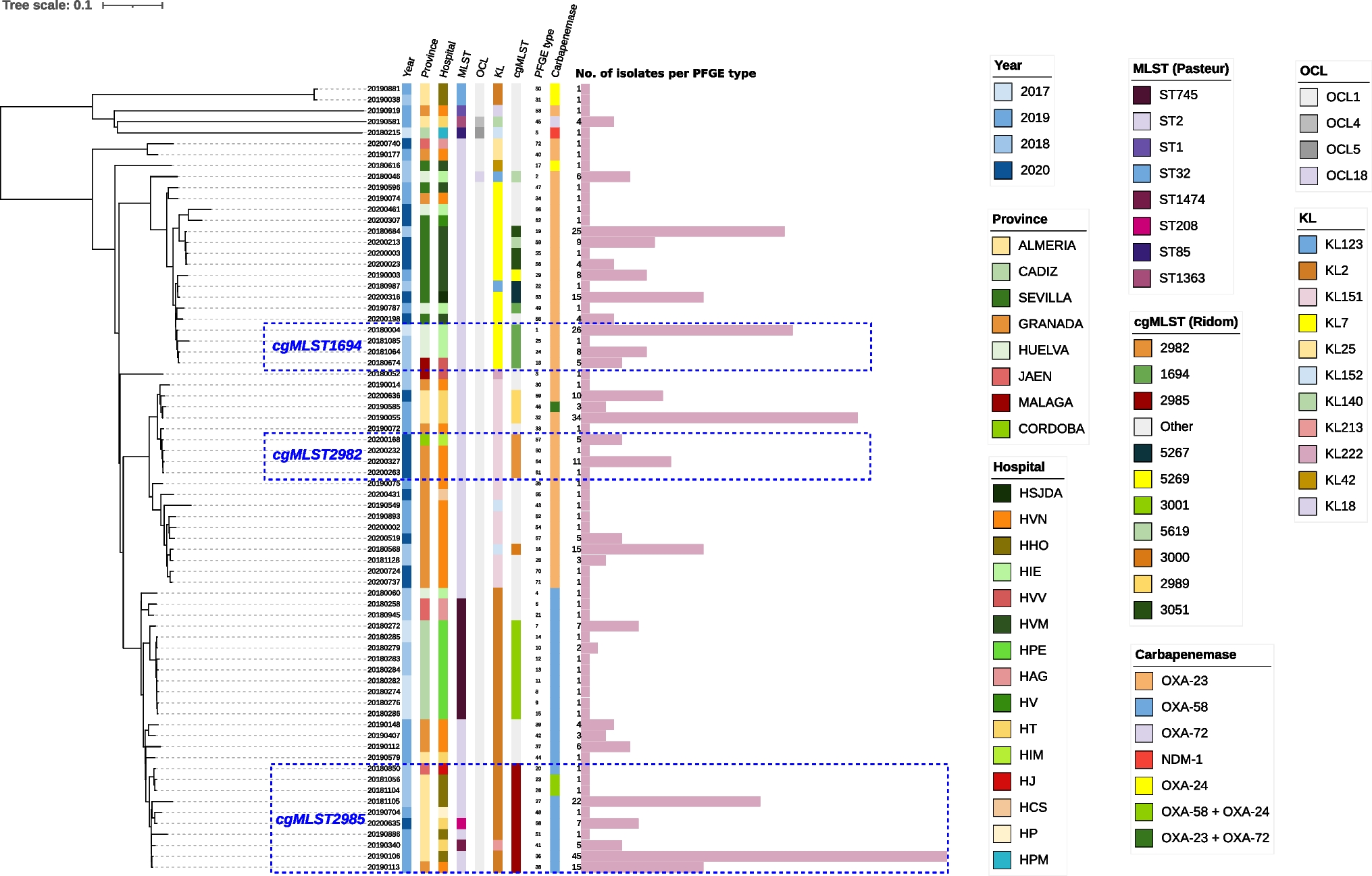 Regional distribution of carbapenemase-producing Acinetobacter baumannii isolates in southern Spain (Andalusia)