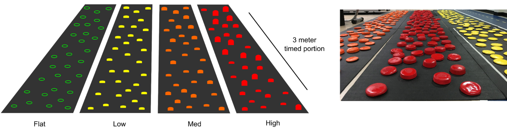 Correlates of gait speed changes during uneven terrain walking in older adults: differential roles of cognitive and sensorimotor function