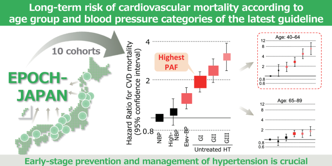 Long-term risk of cardiovascular mortality according to age group and blood pressure categories of the latest guideline