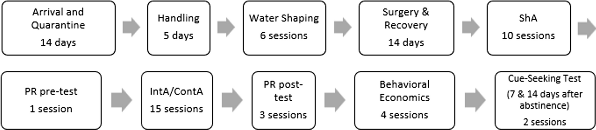 Dissociation of intake and incentive sensitization during intermittent- and continuous-access heroin self-administration in rats