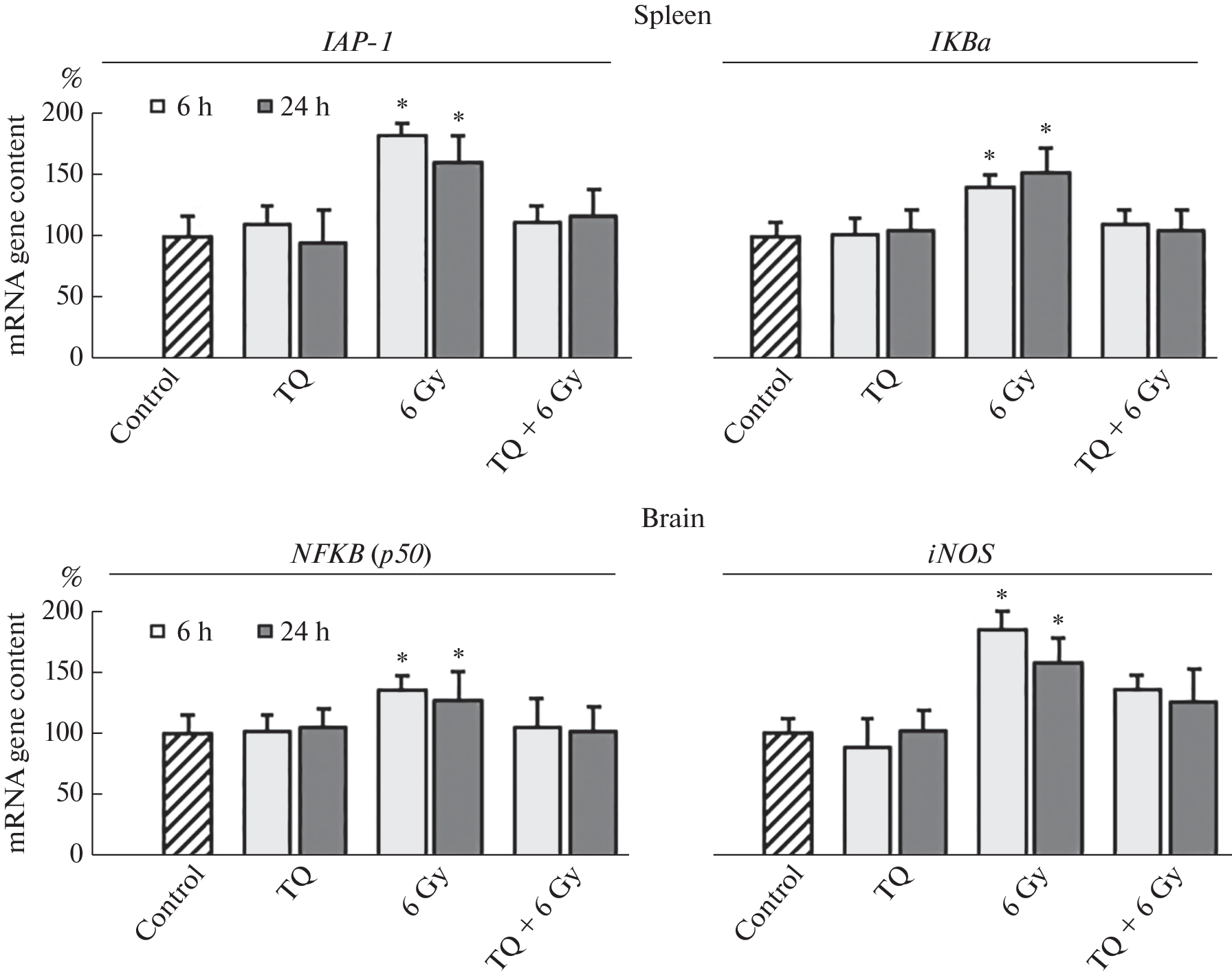 Mechanisms of Modulating Action of Thymoquinone (Component of Black Cumin, Nigella sativa), Affecting the Activity of Some Nuclear and Mitochondrial Genes in Mice Tissue after Exposure to X-ray Radiation