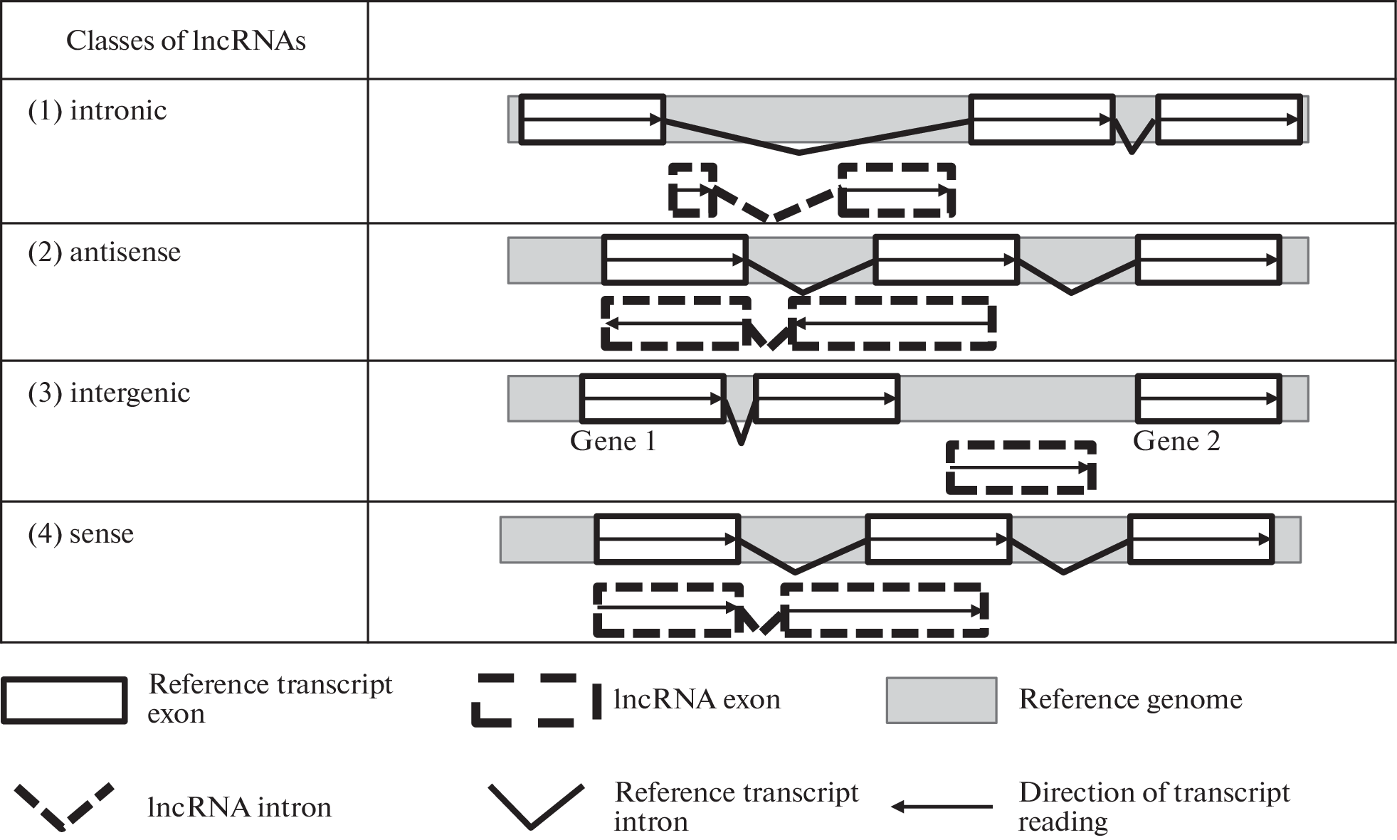 The Role of Long Noncoding RNAs in Plants