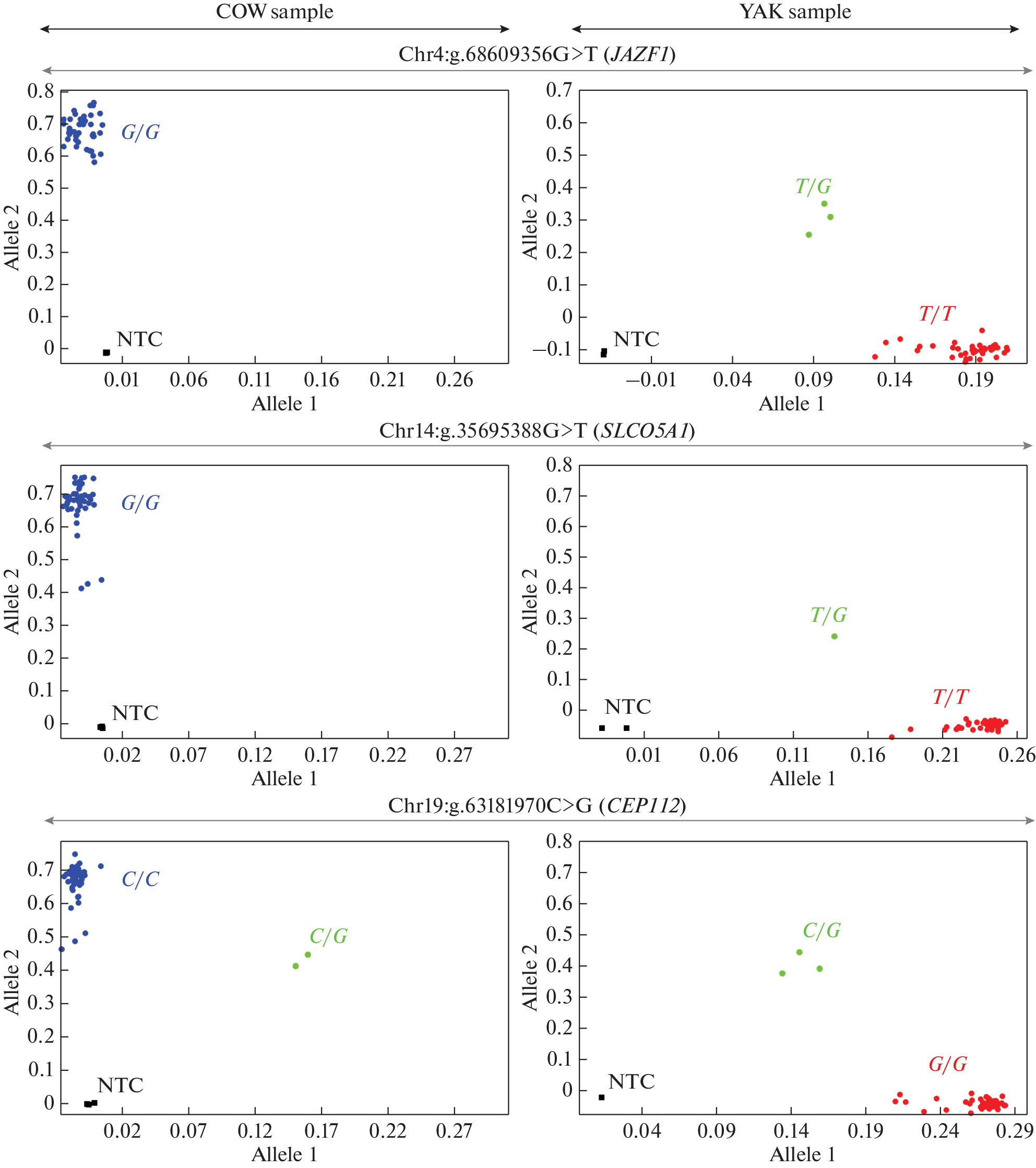 Identification of Bos taurus and Bos grunniens Using SNPs