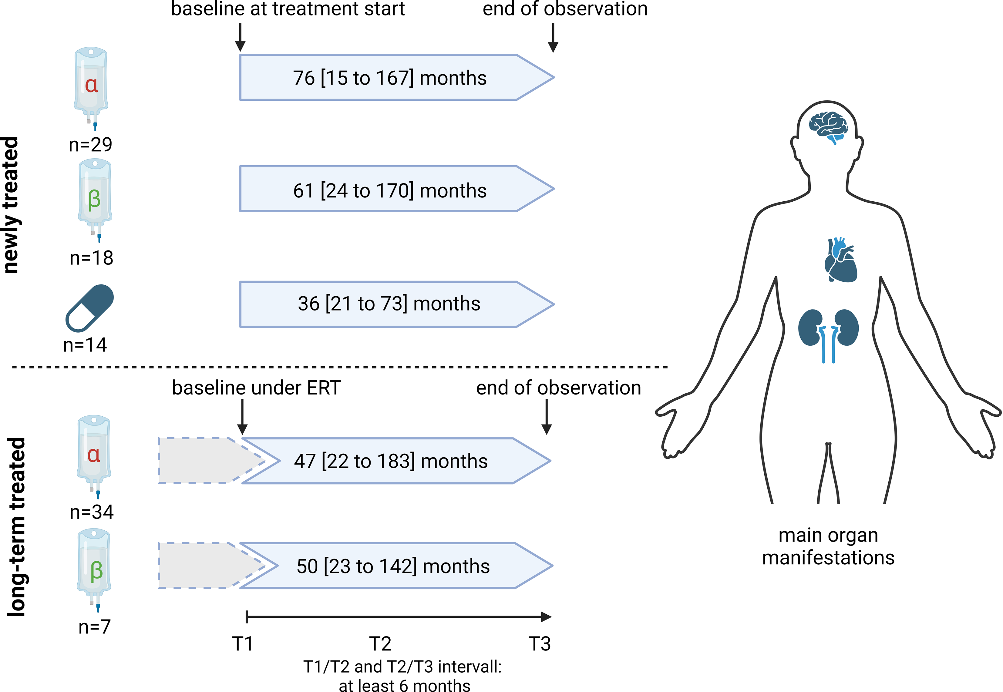 Impact of enzyme replacement therapy and migalastat on disease progression in females with fabry disease