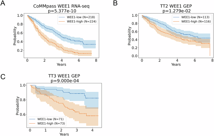 High WEE1 expression is independently linked to poor survival in multiple myeloma