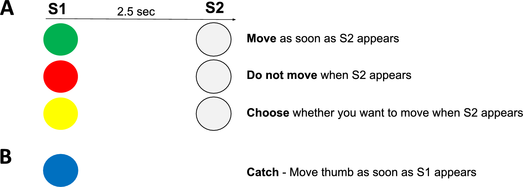 Patterns of brain activity in choice or instructed go and no-go tasks