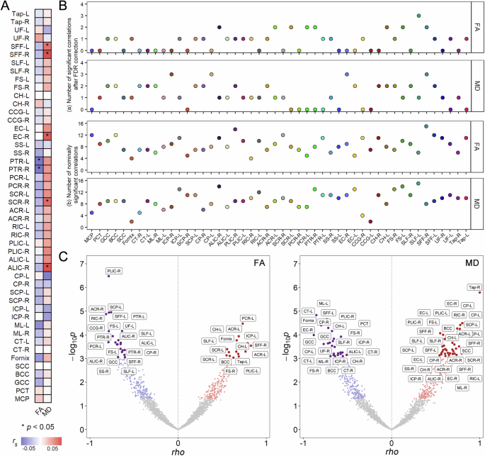 Genome-wide analysis identifies novel shared loci between depression and white matter microstructure