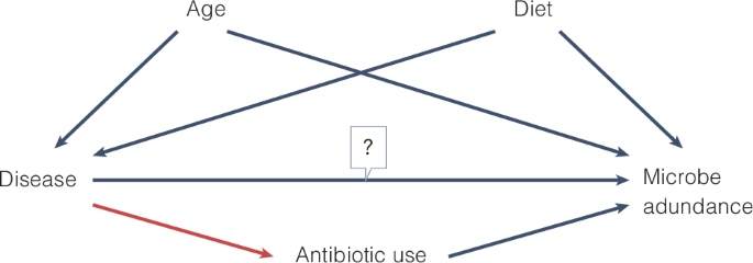 Planning and describing a microbiome data analysis