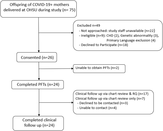 Neonatal pulmonary function tests in infants born to COVID-19 positive mothers