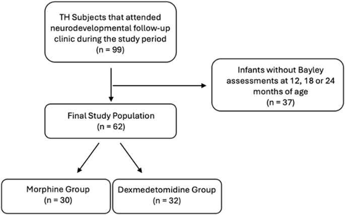 The effect of using dexmedetomidine versus morphine as sedation on long-term neurodevelopmental outcomes of encephalopathic neonates undergoing therapeutic hypothermia