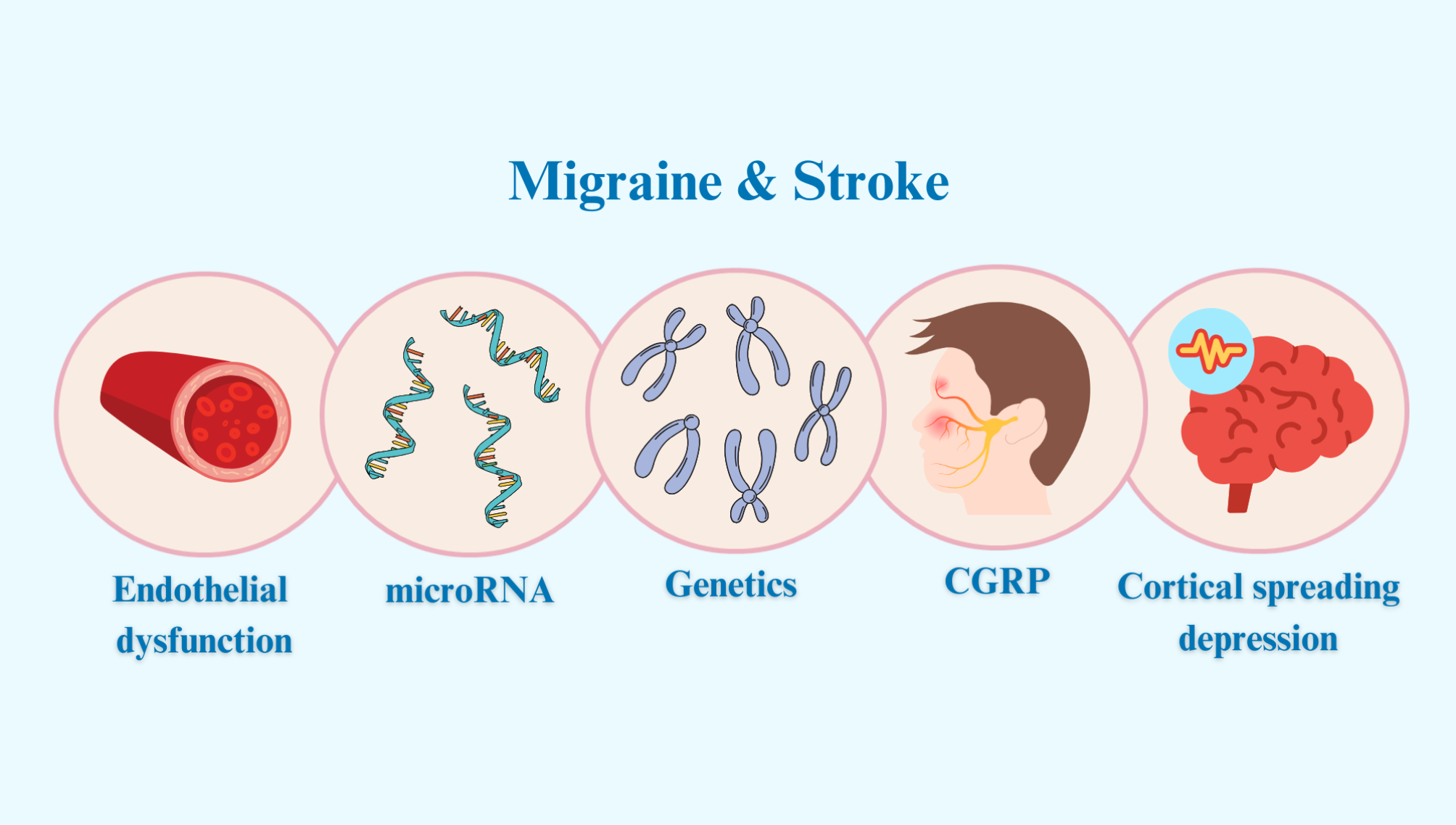 Migraine and stroke: correlation, coexistence, dependence - a modern perspective