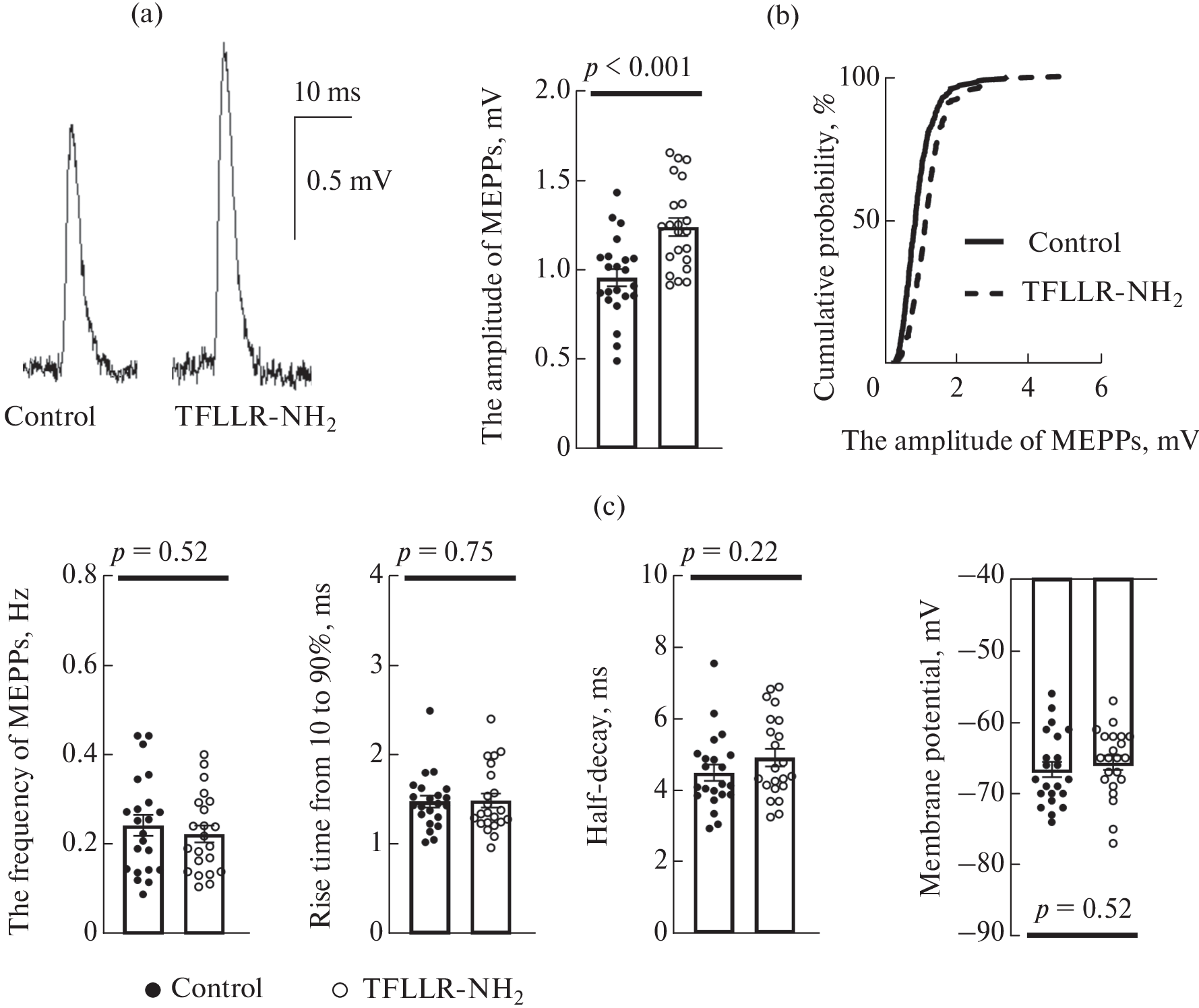 The Dominance of Intracellular Maturation of Brain-Derived Neurotrophic Factor Ensures Its Retrograde Effect in Newly Formed Mouse Motor Synapses