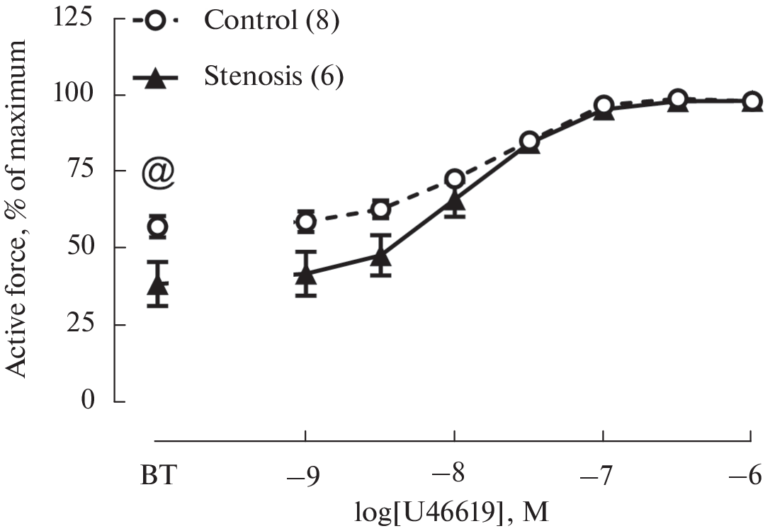 Functional Role of Piezo1 Channels in Smooth Muscle Cells of Rat Cerebral Arteries under Normal Conditions and Chronic Carotid Artery Stenosis