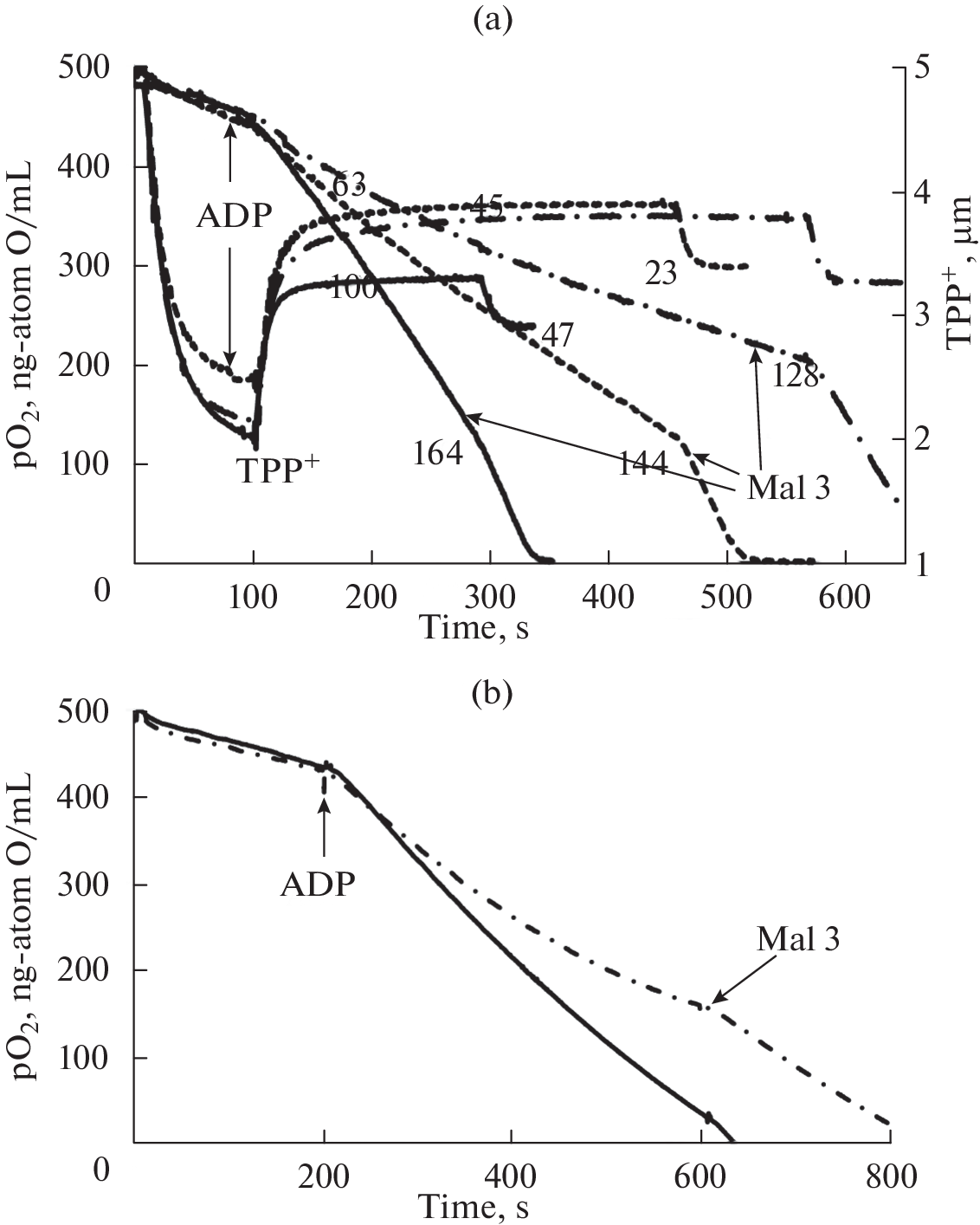 Activation of Pyruvate Dehydrogenase Complex with Inhibition of Krebs Cycle and Mitochondrial Respiration by the Excess of Pyruvate