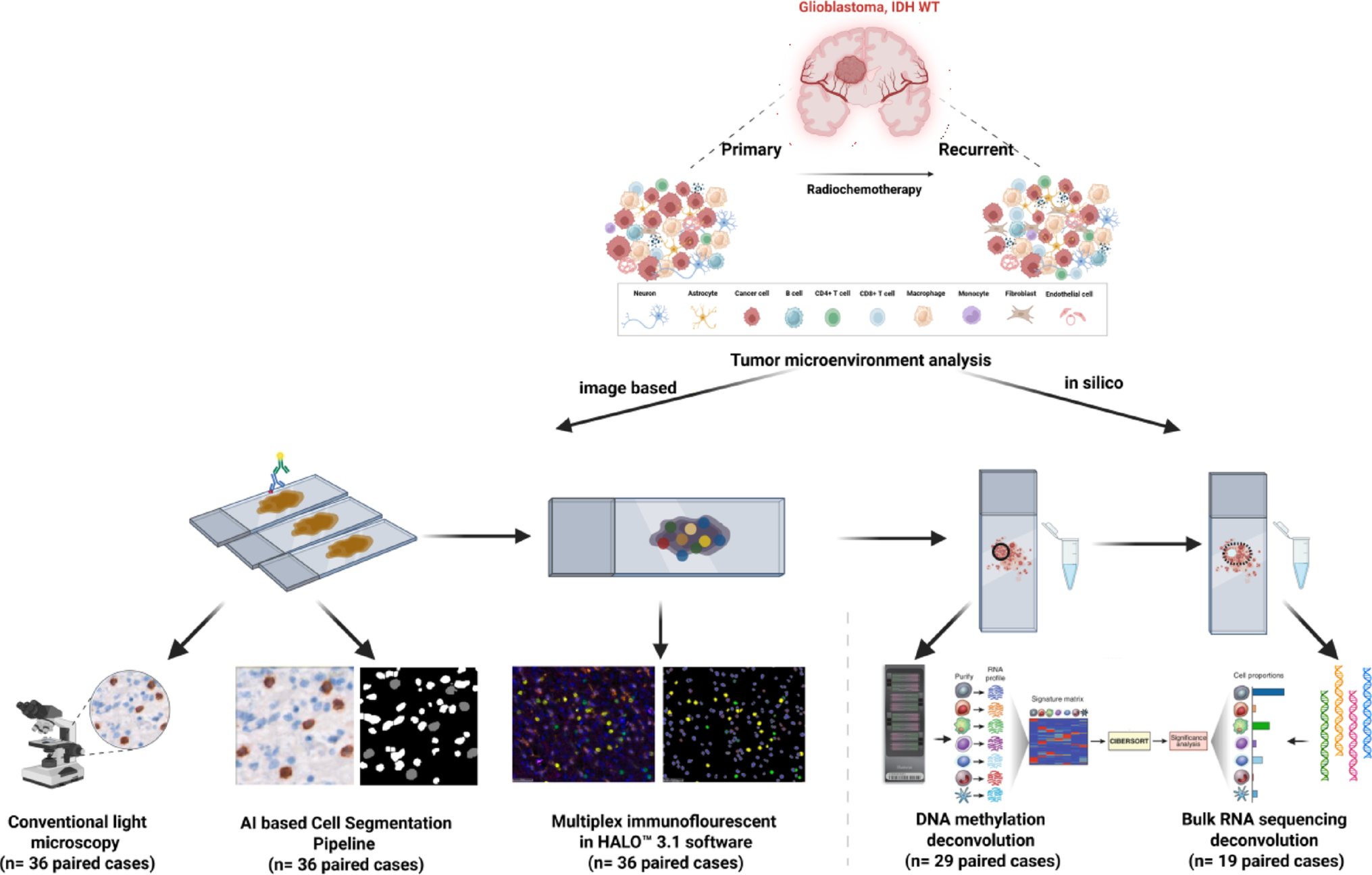 Comparative cross-methodological analysis of the IDH-wildtype glioblastoma tumor microenvironment