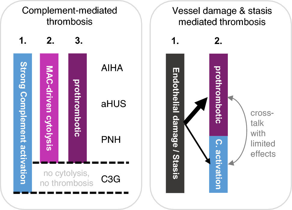 Thrombosis in paroxysmal nocturnal hemoglobinuria in the complement inhibitor era: mechanisms, risk stratification, and clinical management