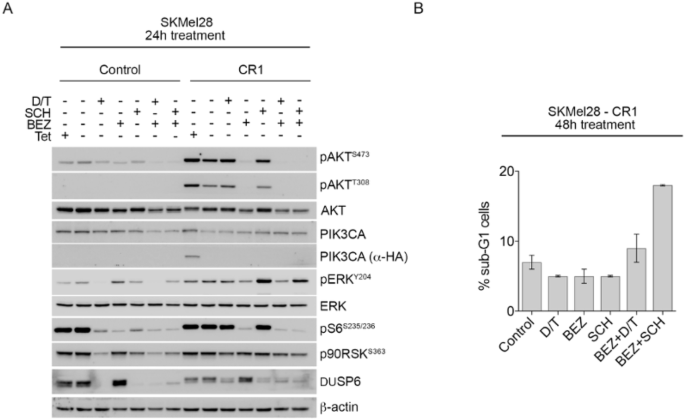Correction: Oncogenic PI3K/AKT promotes the step-wise evolution of combination BRAF/MEK inhibitor resistance in melanoma