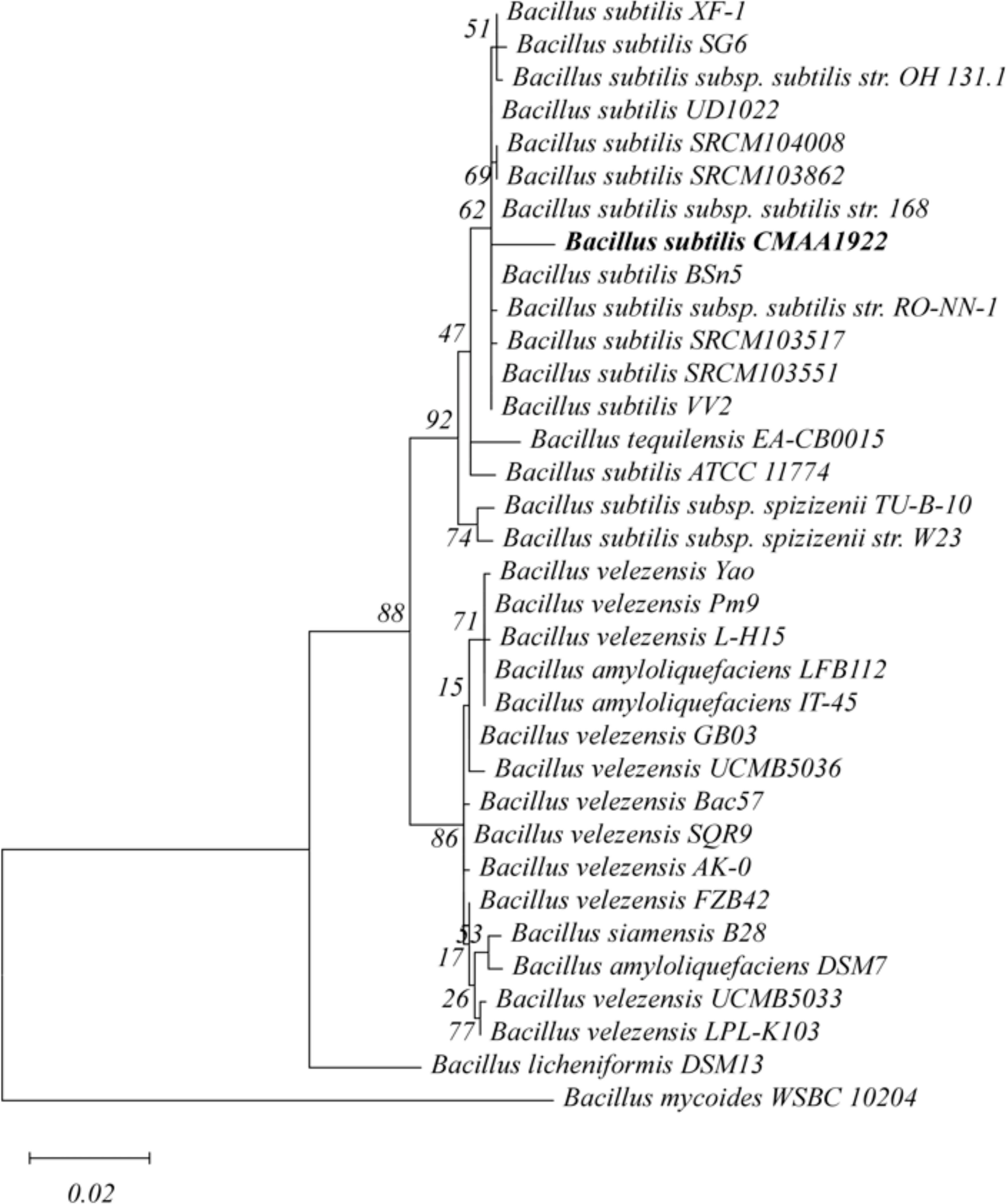 Efficacy of indigenous bacterial antagonists from the anthosphere of  in controlling Cladosporium raceme blight