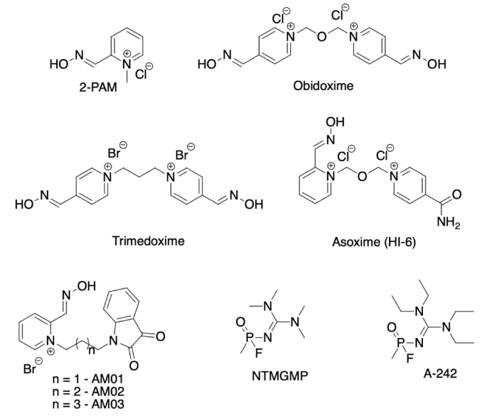 Isatin–pyridine oxime hybrids as potential reactivators of A-242-inhibited acetylcholinesterase