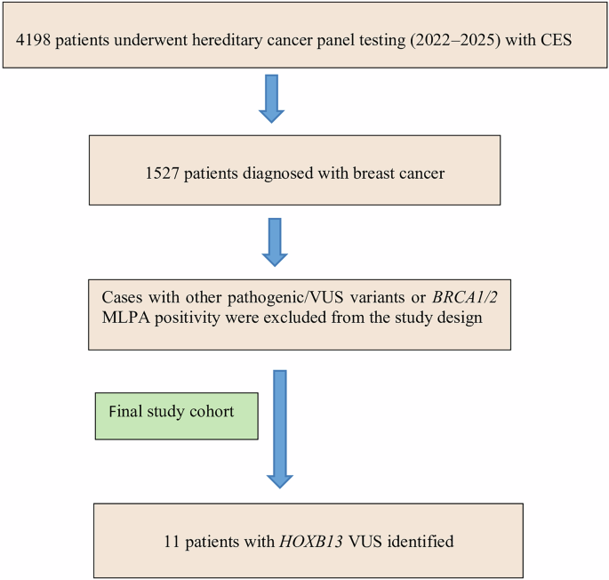 HOXB13, a high-risk prostate cancer gene, also confers risk for breast cancer: novel variants of clinical significance, especially in hormone-positive patients