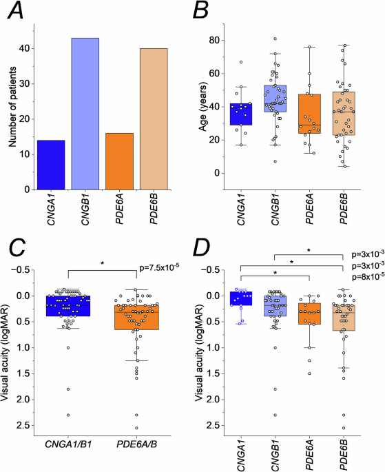 Visual acuities in patients with autosomal recessive retinitis pigmentosa associated with four rod phototransduction genes