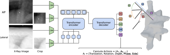 Investigating robot control policy learning for autonomous x-ray-guided spine procedures