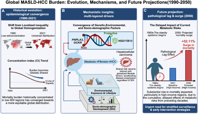 Global trends in metabolic-associated hepatocellular carcinoma: genetic and socio-demographic drivers