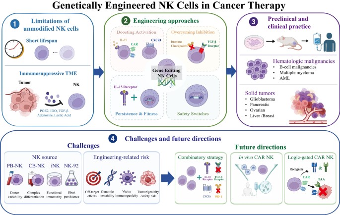 Genetically Engineered Natural Killer Cells in Cancer Therapy: Advances, Challenges, and Future Directions