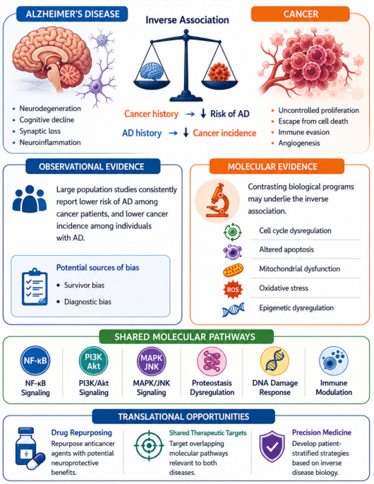 Alzheimer’s disease–cancer research (inception to 2025): trends, themes, translational pathways, and insights from highly cited studies