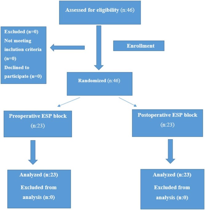 Does timing matter? Comparing pre- and postoperative erector spinae plane blocks in lumbar spine surgery