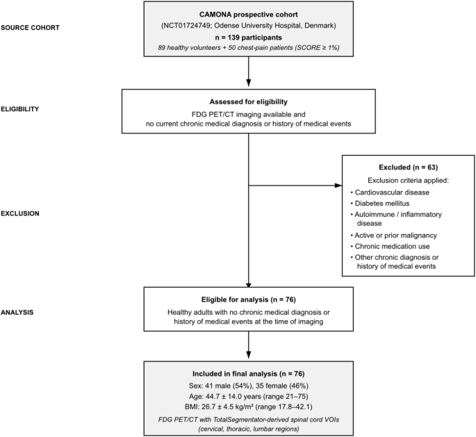 Spinal cord FDG PET uptake in healthy adults: an AI-driven segmentation study