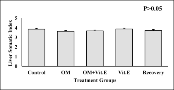 The protective role of vitamin E against omeprazole-induced liver alterations in male wistar rats