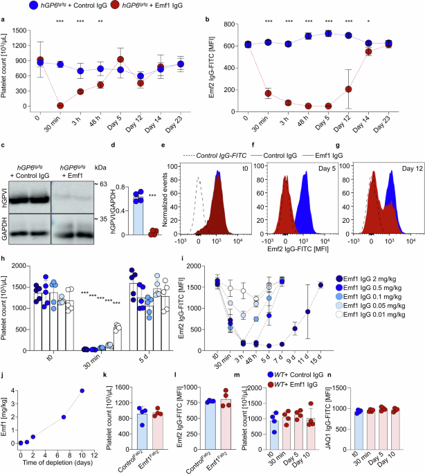 Partial downregulation of platelet glycoprotein VI by low affinity antibodies confers sustained and safe antithrombotic protection