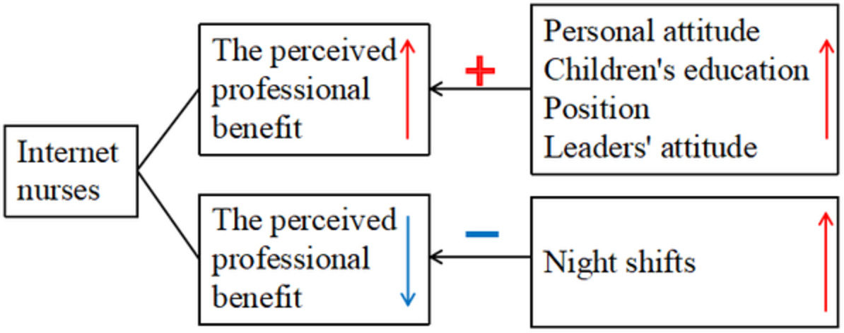 A critical assessment of factors influencing the perceived professional benefit of internet nurses