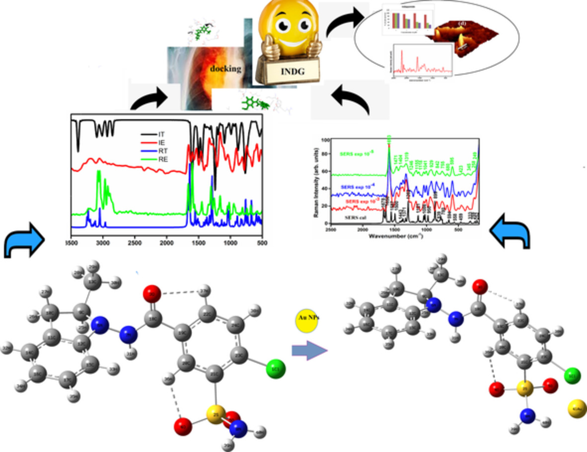 Anticancer activity of indapamide adsorbed on gold nanoparticles: DFT, in‐silico, and in‐vitro analysis