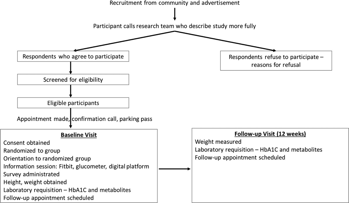 Personalized Behavioral Nutrition Among Older Asian Americans: Study Protocol