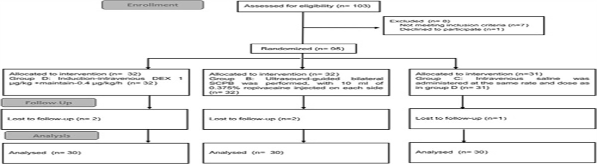 Comparison of the Analgesic Effects of Intravenous Infusion of Dexmedetomidine Versus Bilateral Superficial Cervical Plexus Block After Thyroidectomy: A Randomized Controlled Trial