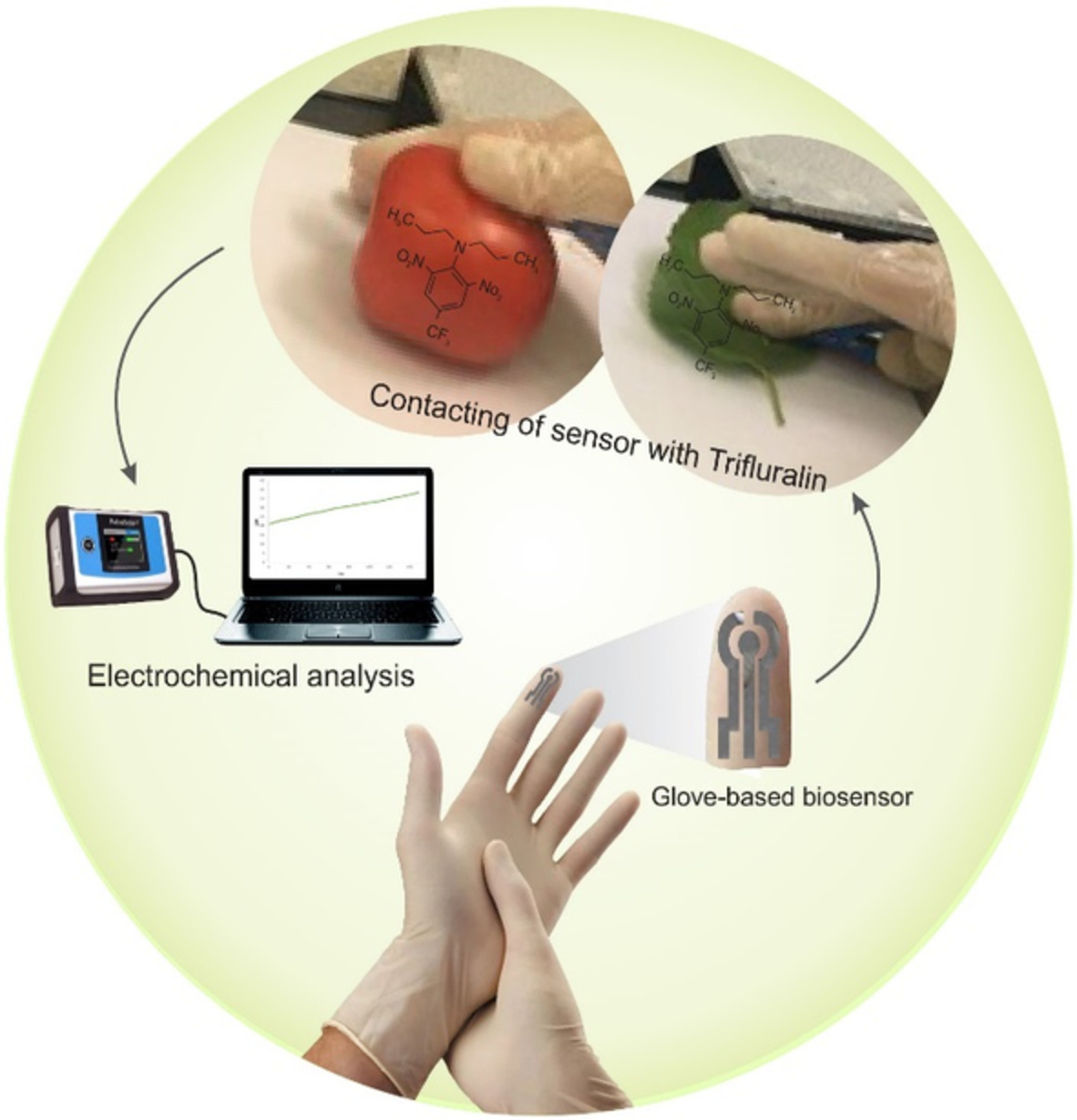 Trifluralin recognition using touch‐based fingertip: Application of wearable glove‐based sensor toward environmental pollution and human health control
