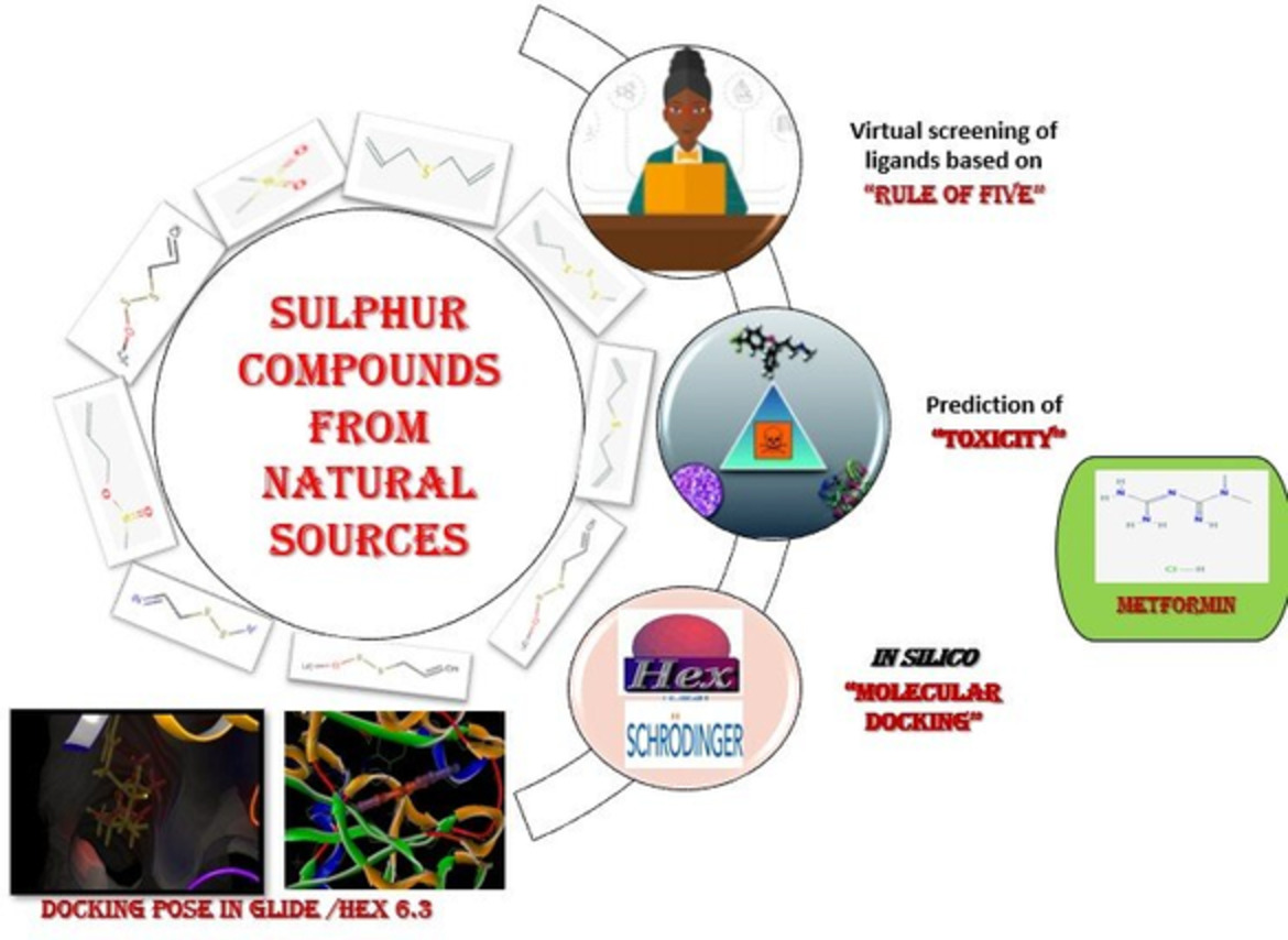 In silico studies: Physicochemical properties, drug score, toxicity predictions and molecular docking of organosulphur compounds against Diabetes mellitus