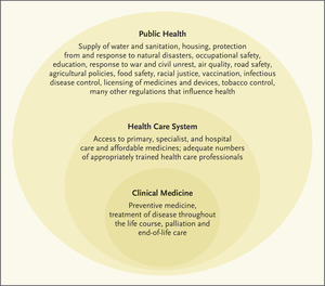 The Complementarity of Public Health and Medicine — Achieving "the Highest Attainable Standard of Health"