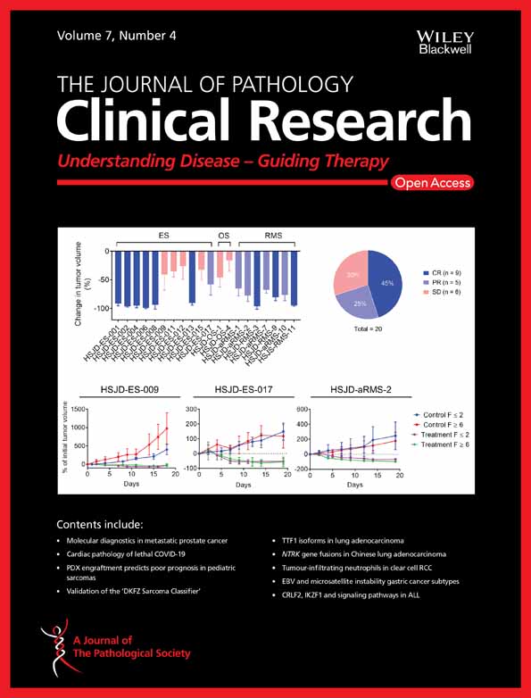 c‐MYC and p53 expression highlight starry‐sky pattern as a favourable prognostic feature in R‐CHOP‐treated diffuse large B‐cell lymphoma