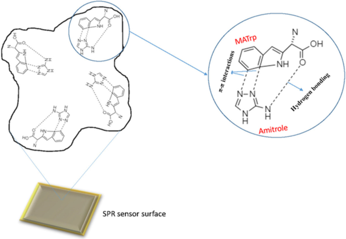 Sensitive and selective detection of amitrole based on molecularly imprinted nanosensor